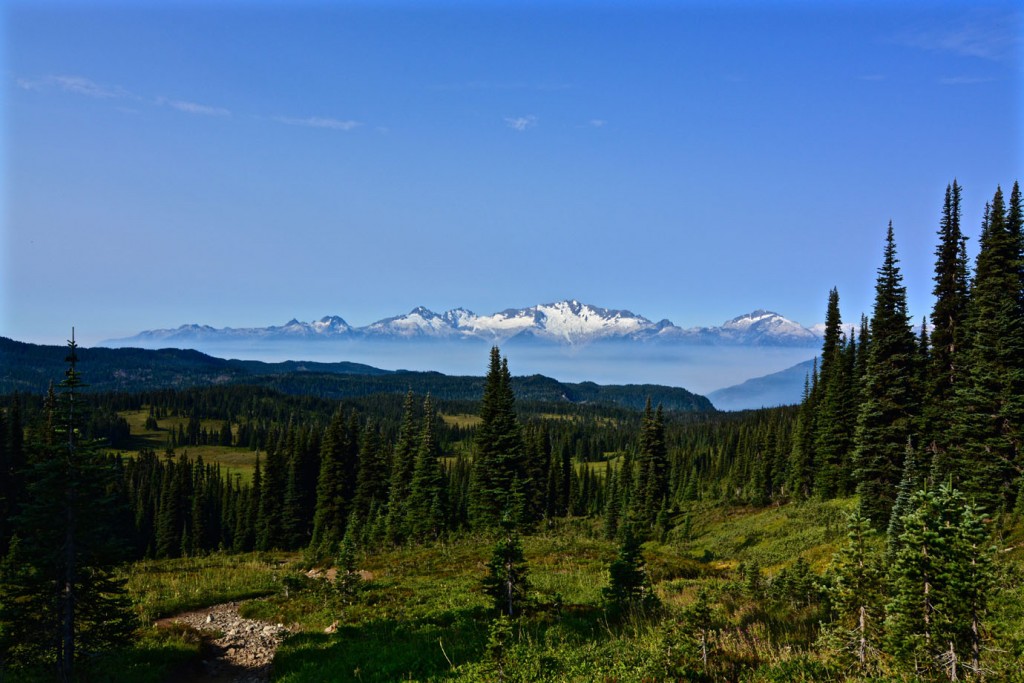 Panorama Ridge Trail