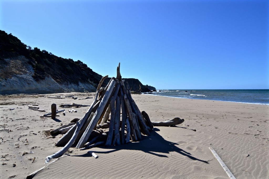 Pile of driftwood