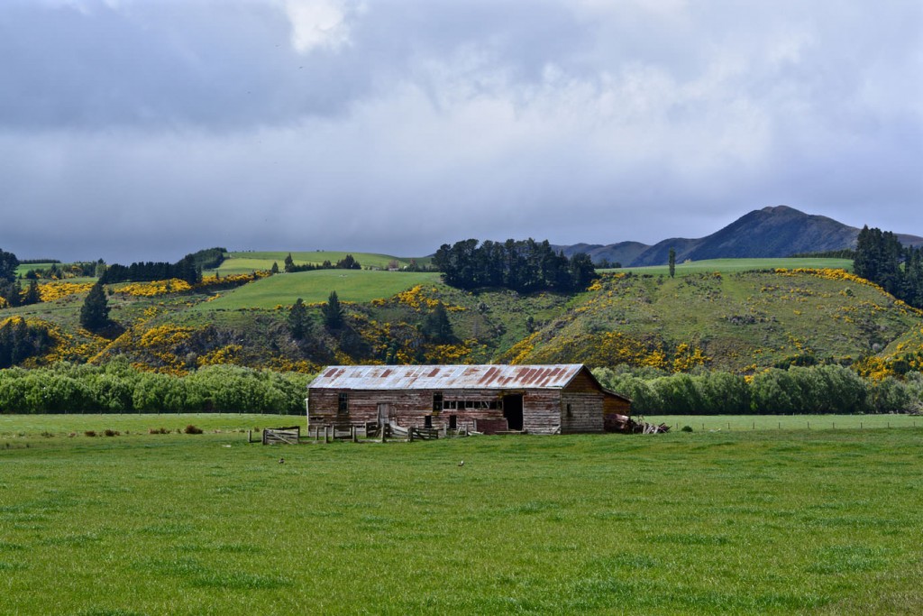 A barn at a field