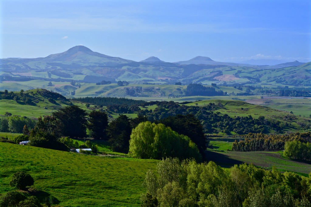 Panorama near Dunedin