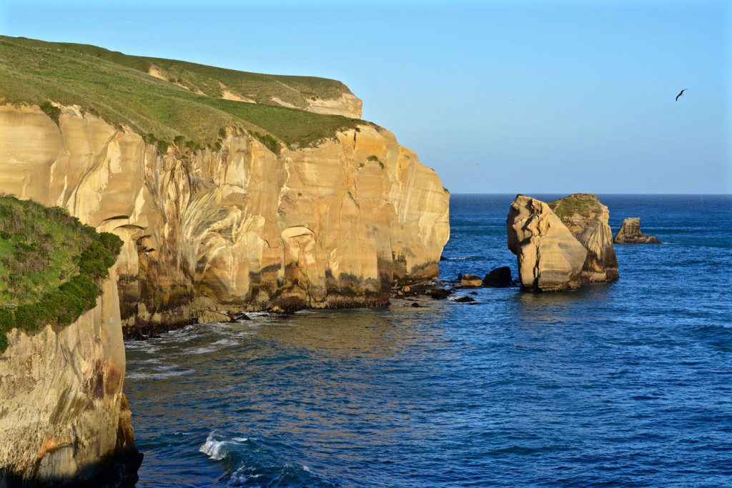Cliffs at Tunnel Beach