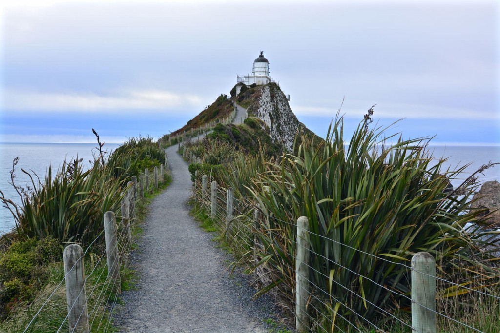 Way to Nugget Point Lighthouse