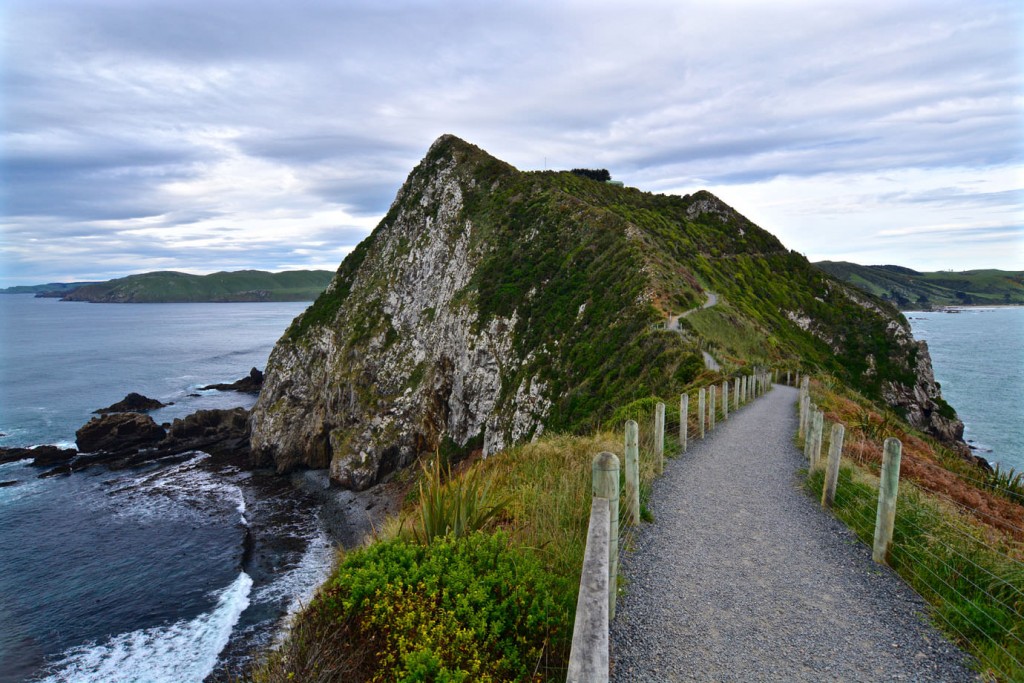 Way from Nugget Point Lighthouse