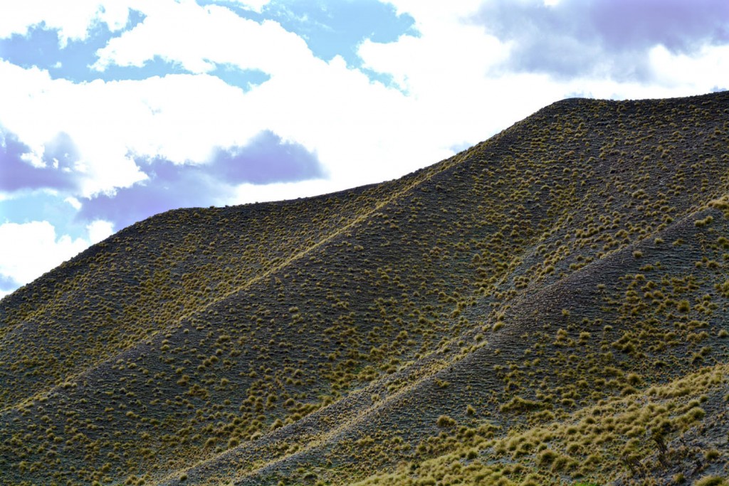 Mountain with tussock gras