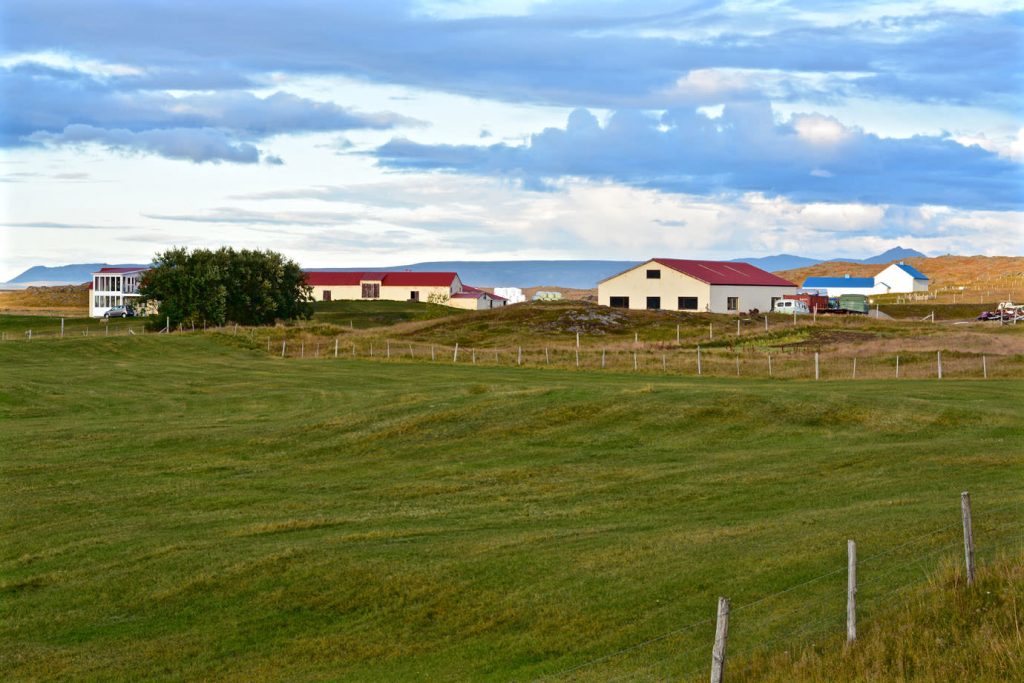 Farm near Húsavík