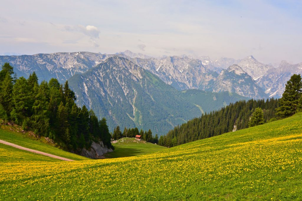 Hochiss Tyrol